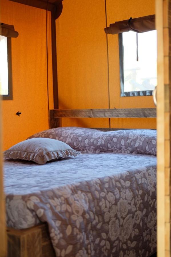 La Viola E Il Sole - Alloggi E Glamping - Fermo Bagian luar foto