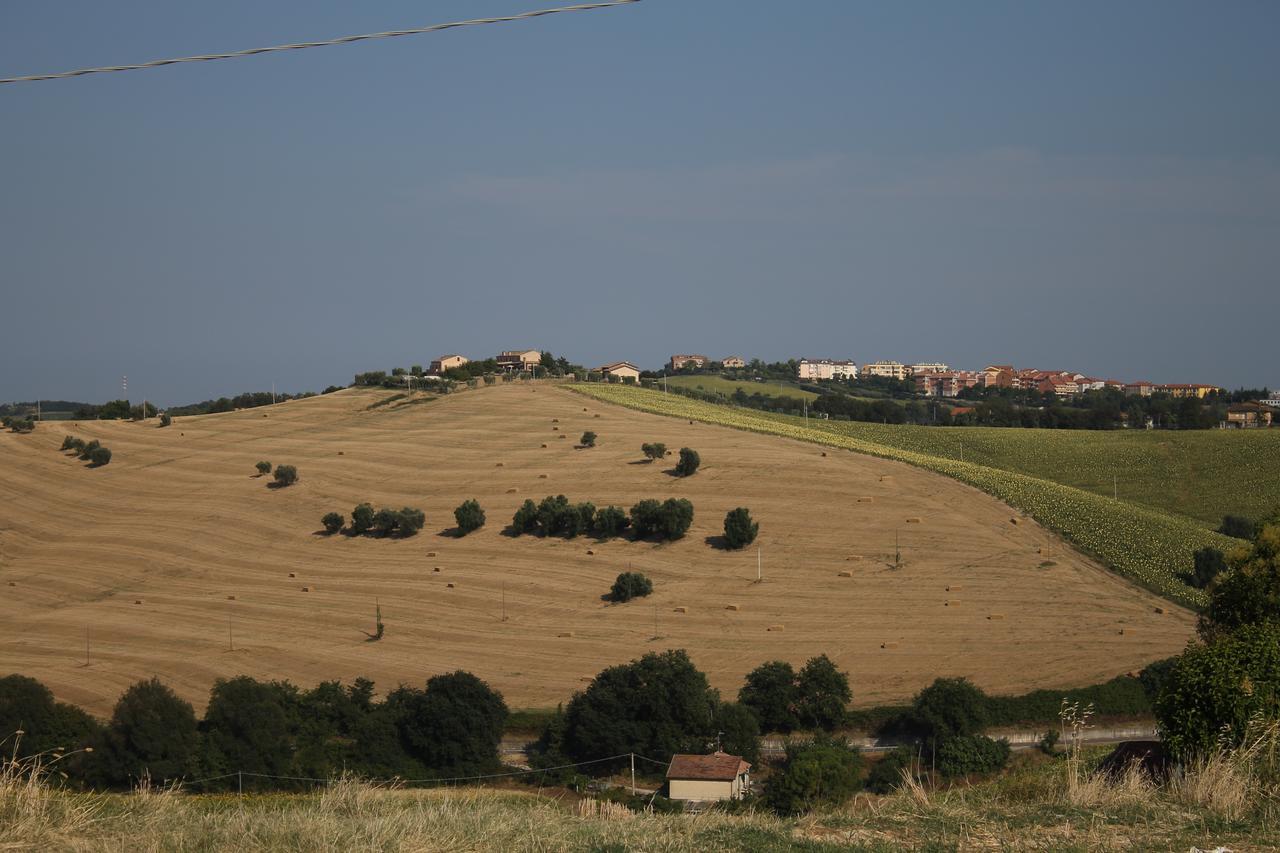 La Viola E Il Sole - Alloggi E Glamping - Fermo Bagian luar foto